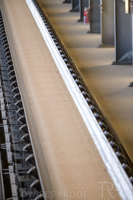 January 2021 / OUTER_HARBOR_SA_366