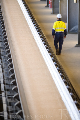 January 2021 / OUTER_HARBOR_SA_368