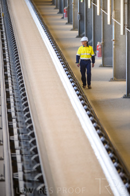 January 2021 / OUTER_HARBOR_SA_374