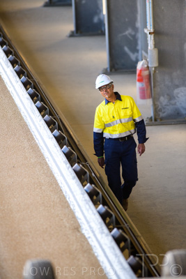 January 2021 / OUTER_HARBOR_SA_382