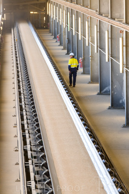 January 2021 / OUTER_HARBOR_SA_388