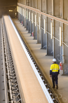 January 2021 / OUTER_HARBOR_SA_398