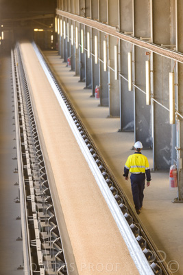 January 2021 / OUTER_HARBOR_SA_399