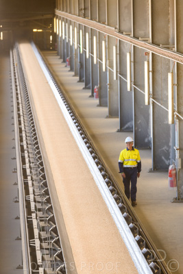 January 2021 / OUTER_HARBOR_SA_401