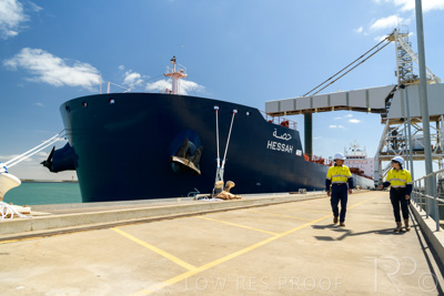 January 2021 / OUTER_HARBOR_SA_408