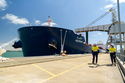 January 2021 / OUTER_HARBOR_SA_409