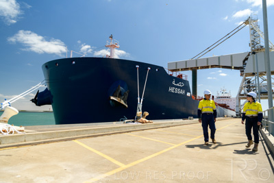 January 2021 / OUTER_HARBOR_SA_411