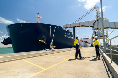 January 2021 / OUTER_HARBOR_SA_421