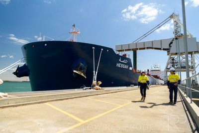 January 2021 / OUTER_HARBOR_SA_431