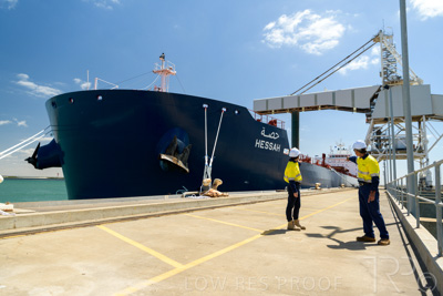 January 2021 / OUTER_HARBOR_SA_435