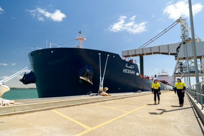 January 2021 / OUTER_HARBOR_SA_446