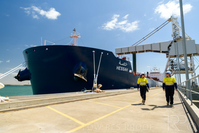 January 2021 / OUTER_HARBOR_SA_447