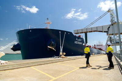 January 2021 / OUTER_HARBOR_SA_450