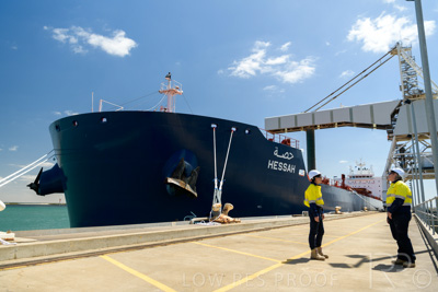 January 2021 / OUTER_HARBOR_SA_451