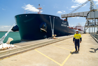 January 2021 / OUTER_HARBOR_SA_499