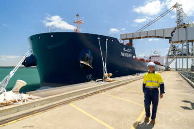 January 2021 / OUTER_HARBOR_SA_501