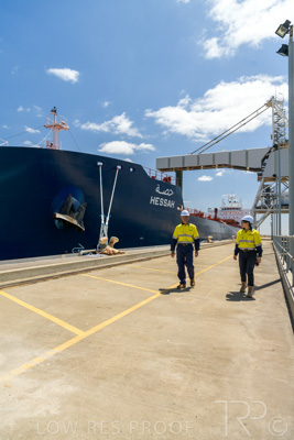 January 2021 / OUTER_HARBOR_SA_528