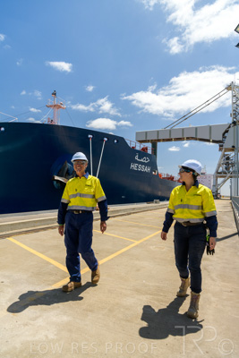 January 2021 / OUTER_HARBOR_SA_533