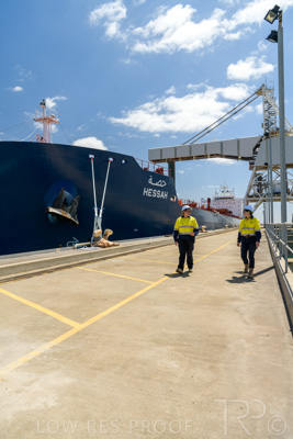 January 2021 / OUTER_HARBOR_SA_543