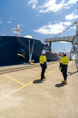 January 2021 / OUTER_HARBOR_SA_547