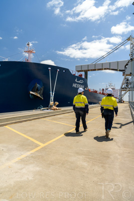 January 2021 / OUTER_HARBOR_SA_548