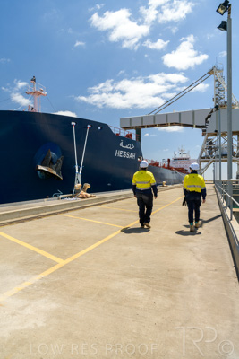 January 2021 / OUTER_HARBOR_SA_554