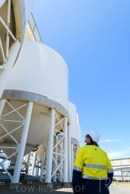 January 2021 / OUTER_HARBOR_SA_648