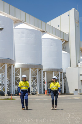 January 2021 / OUTER_HARBOR_SA_681