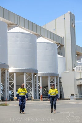 January 2021 / OUTER_HARBOR_SA_736