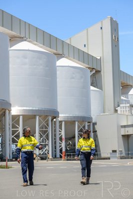 January 2021 / OUTER_HARBOR_SA_739