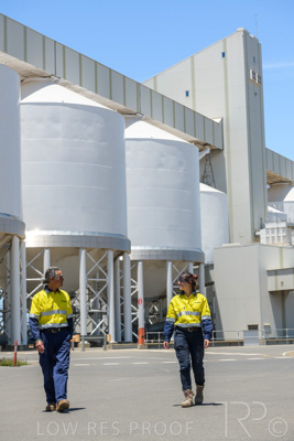 January 2021 / OUTER_HARBOR_SA_740