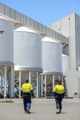 January 2021 / OUTER_HARBOR_SA_745