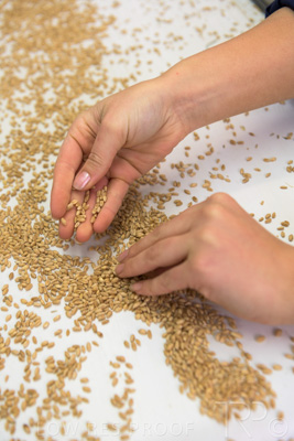 January 2021 / OUTER_HARBOR_SA_778