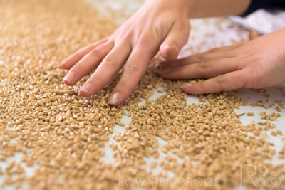 January 2021 / OUTER_HARBOR_SA_780