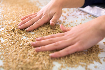 January 2021 / OUTER_HARBOR_SA_781