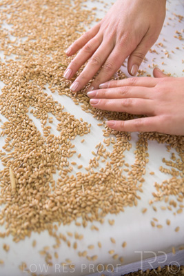 January 2021 / OUTER_HARBOR_SA_785