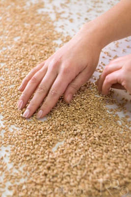 January 2021 / OUTER_HARBOR_SA_789