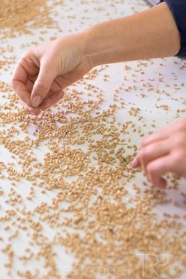 January 2021 / OUTER_HARBOR_SA_791