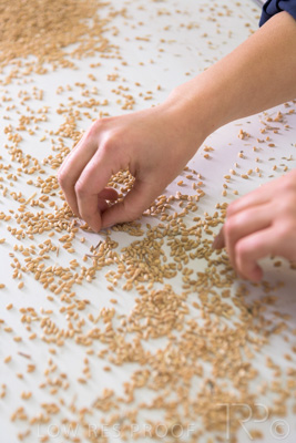 January 2021 / OUTER_HARBOR_SA_792