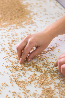 January 2021 / OUTER_HARBOR_SA_793