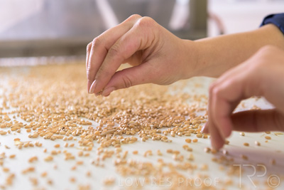 January 2021 / OUTER_HARBOR_SA_795