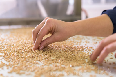 January 2021 / OUTER_HARBOR_SA_797