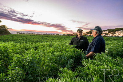 October 2022 / KANGAROO-FLAT-0004