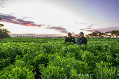 October 2022 / KANGAROO-FLAT-0015