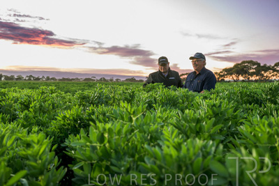 October 2022 / KANGAROO-FLAT-0016