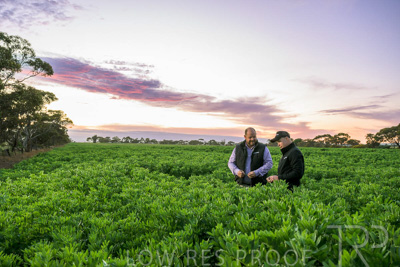 October 2022 / KANGAROO-FLAT-0021