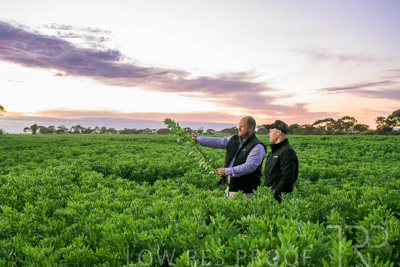 October 2022 / KANGAROO-FLAT-0022