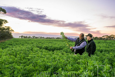 October 2022 / KANGAROO-FLAT-0024