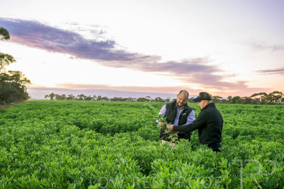 October 2022 / KANGAROO-FLAT-0029