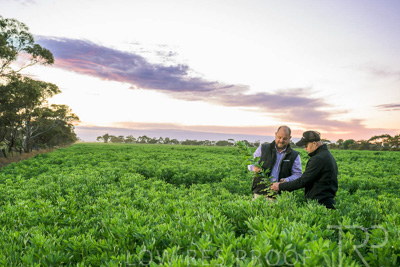 October 2022 / KANGAROO-FLAT-0030